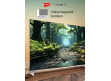 Impex 55 QLED UHD Google LED TV 12OHZ |  evoQ 55S4QLC2R120