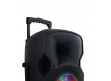 Trolley Speaker | ST 80AN