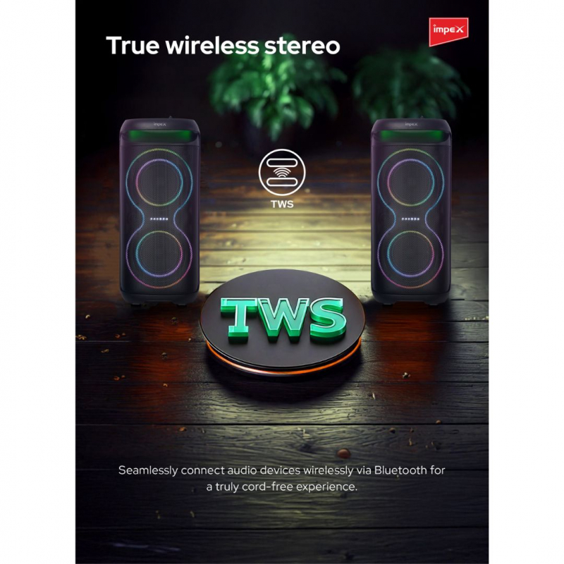 Impex  6.5"" Multimedia Trolley Speaker | TS 81