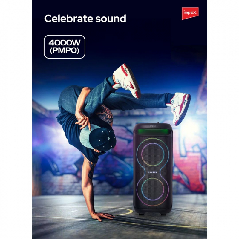Impex  6.5"" Multimedia Trolley Speaker | TS 81