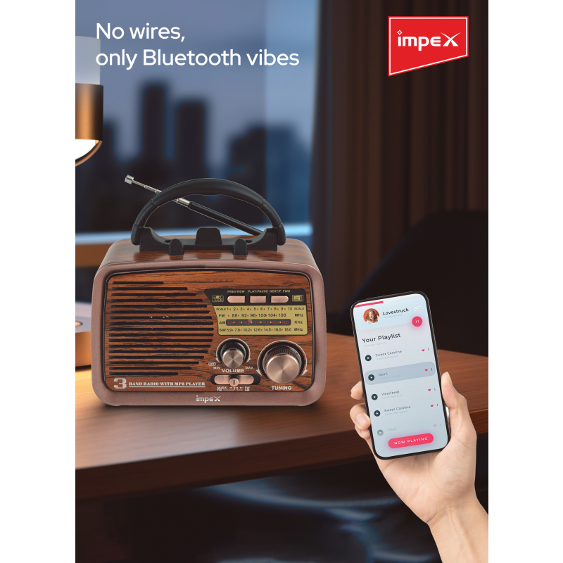 Impex Portable Radio |  Melody Plus