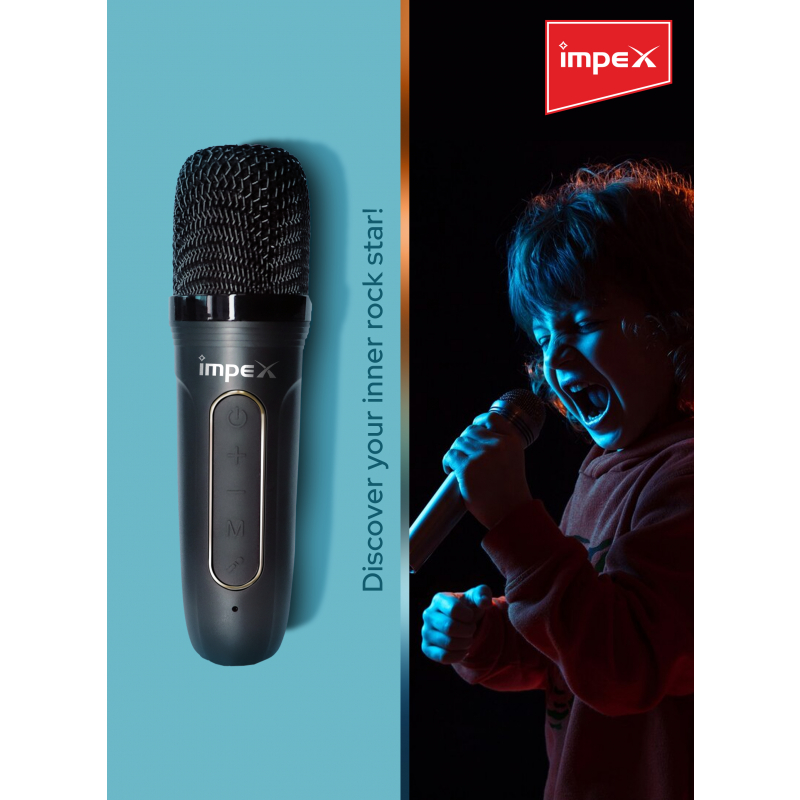 Impex Portable Bluetooth Karaoke Speaker | KM 1301