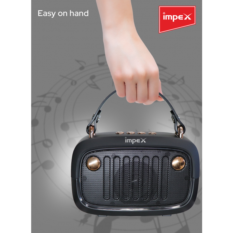 Impex Portable Bluetooth Karaoke Speaker | KM 1301
