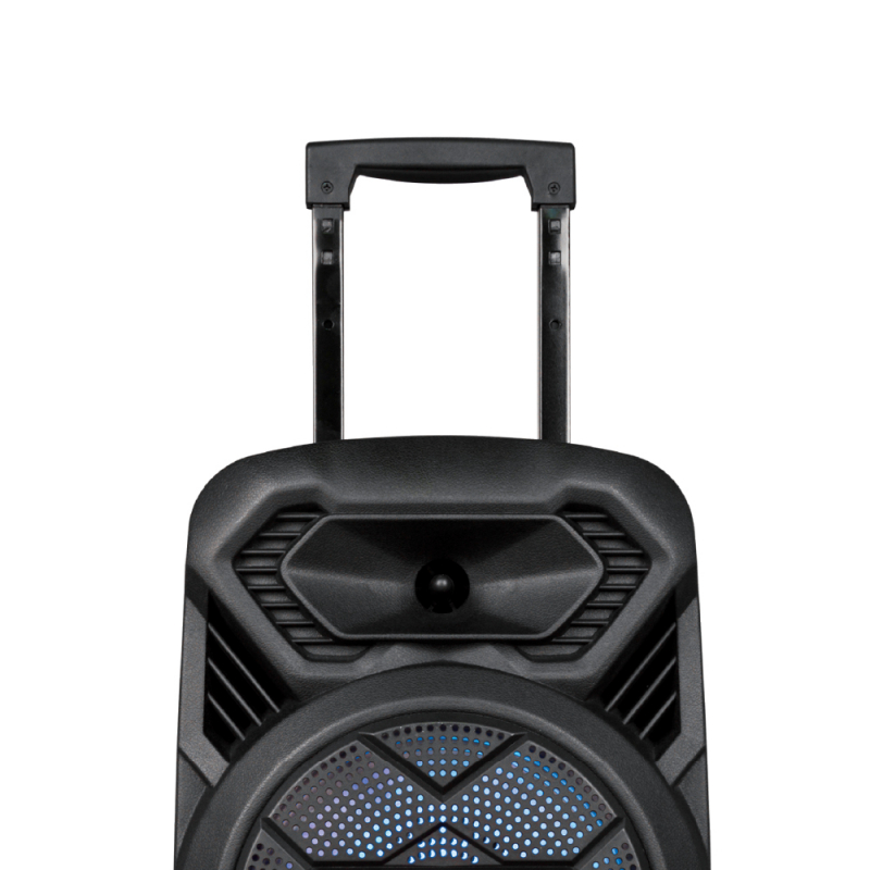 Trolly Speaker | TS 1109