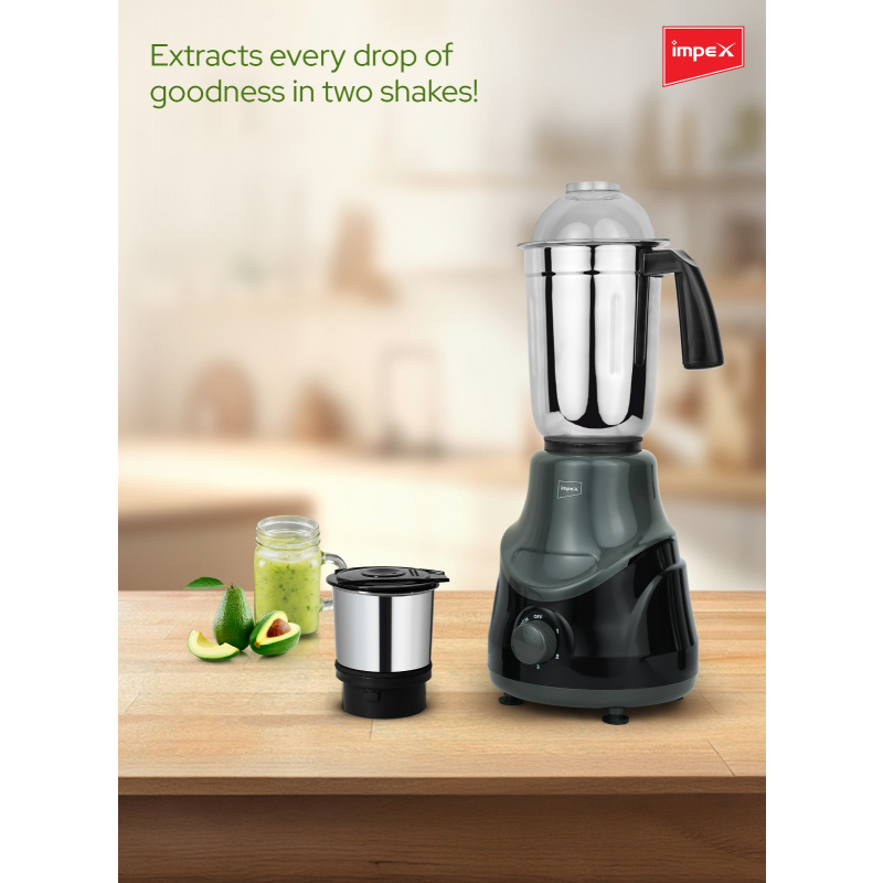 IMPEX 2 IN 1 MIXER GRINDER | BL 319C