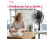 Pedestal Fan | PF 7504