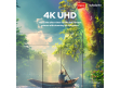 Whale OS 55 SMART QLED TV | Wios55Q