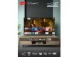 Impex 65" google TV | evoQ 65S4QLC2R120