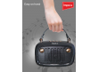Impex Portable Bluetooth Karaoke Speaker | KM 1301